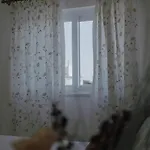 Madeira 招待所 西尔韦斯