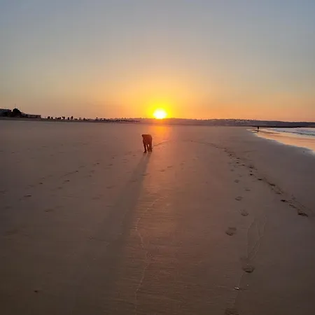 בית הארחה Madeira