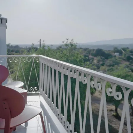 Madeira Affittacamere